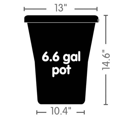 Auto9XL Tray System - Image 3