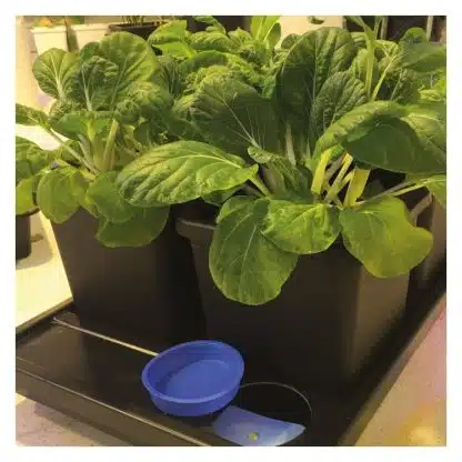 Auto8 3.9gal Pots - Image 7