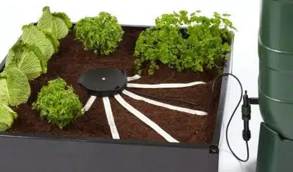 AQUAbox Spyder - Wide Raised Beds & Allotments - Image 5