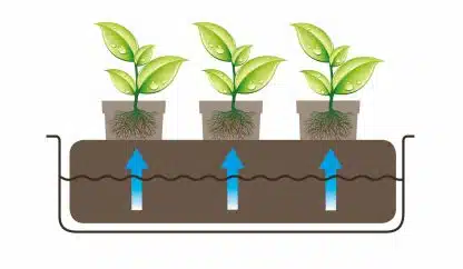 CocoMat and Root Control Pack - Image 7