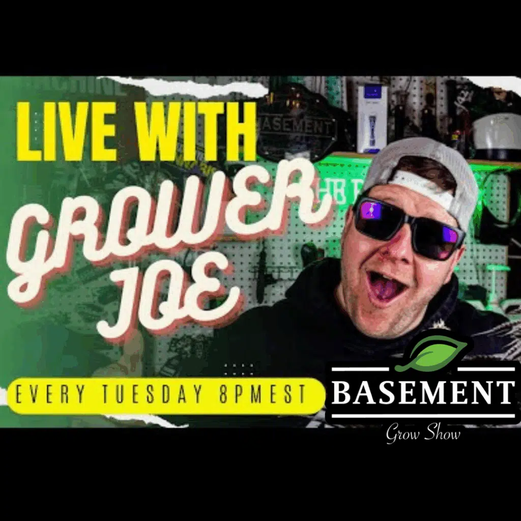 basement grow show