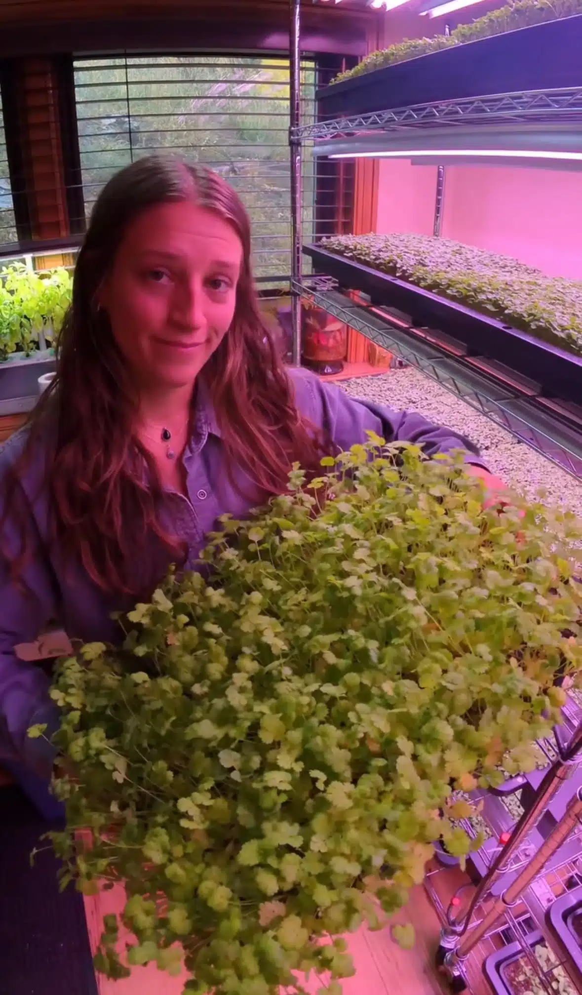 Tray2Grow Microgreens Kit - Image 9