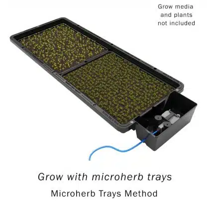 Tray2Grow - Image 7