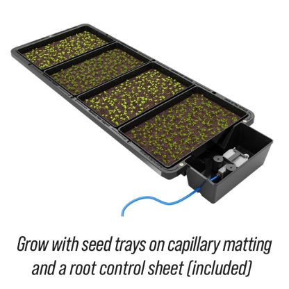 Tray2Grow Seed Tray - Image 2