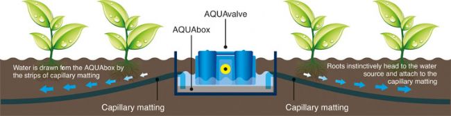 aquabox spyder