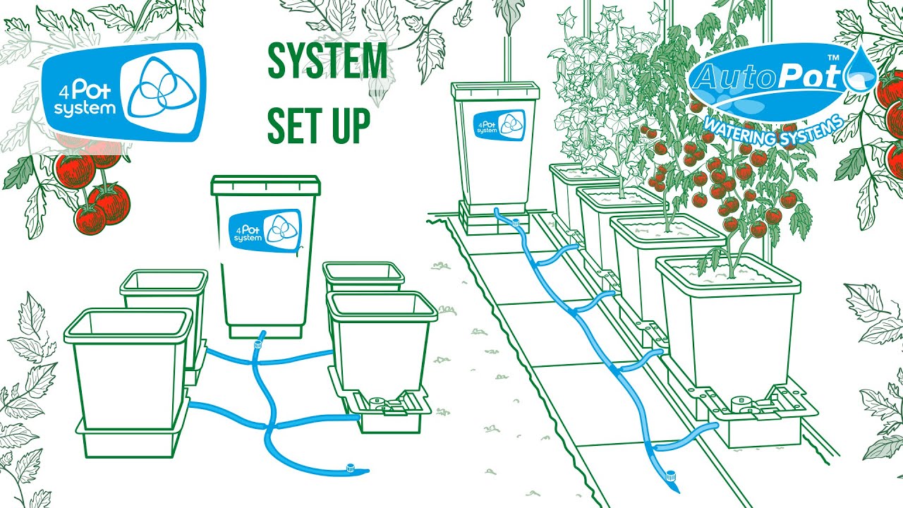 Willing plant ordinal pot W.P-004 Mix⑧