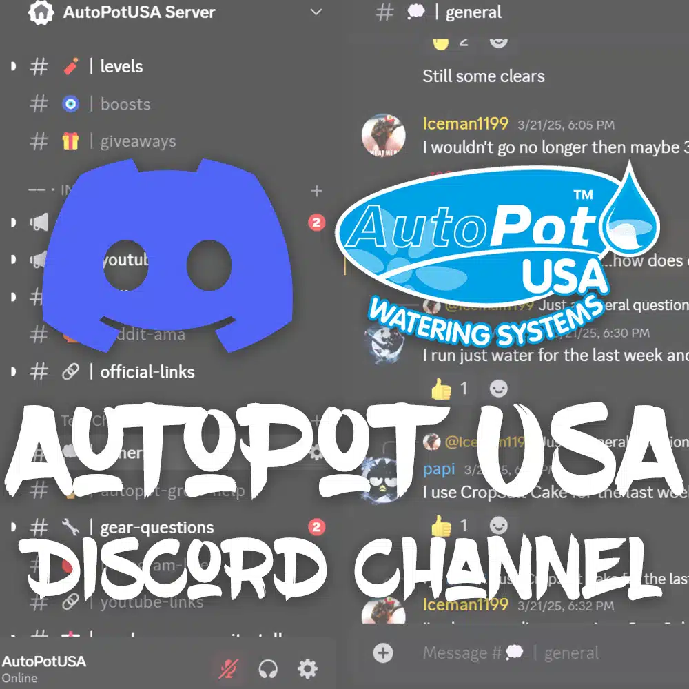 discord graphic