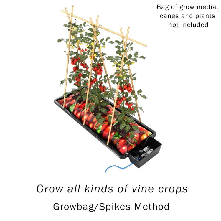 Tray2Grow - Image 5