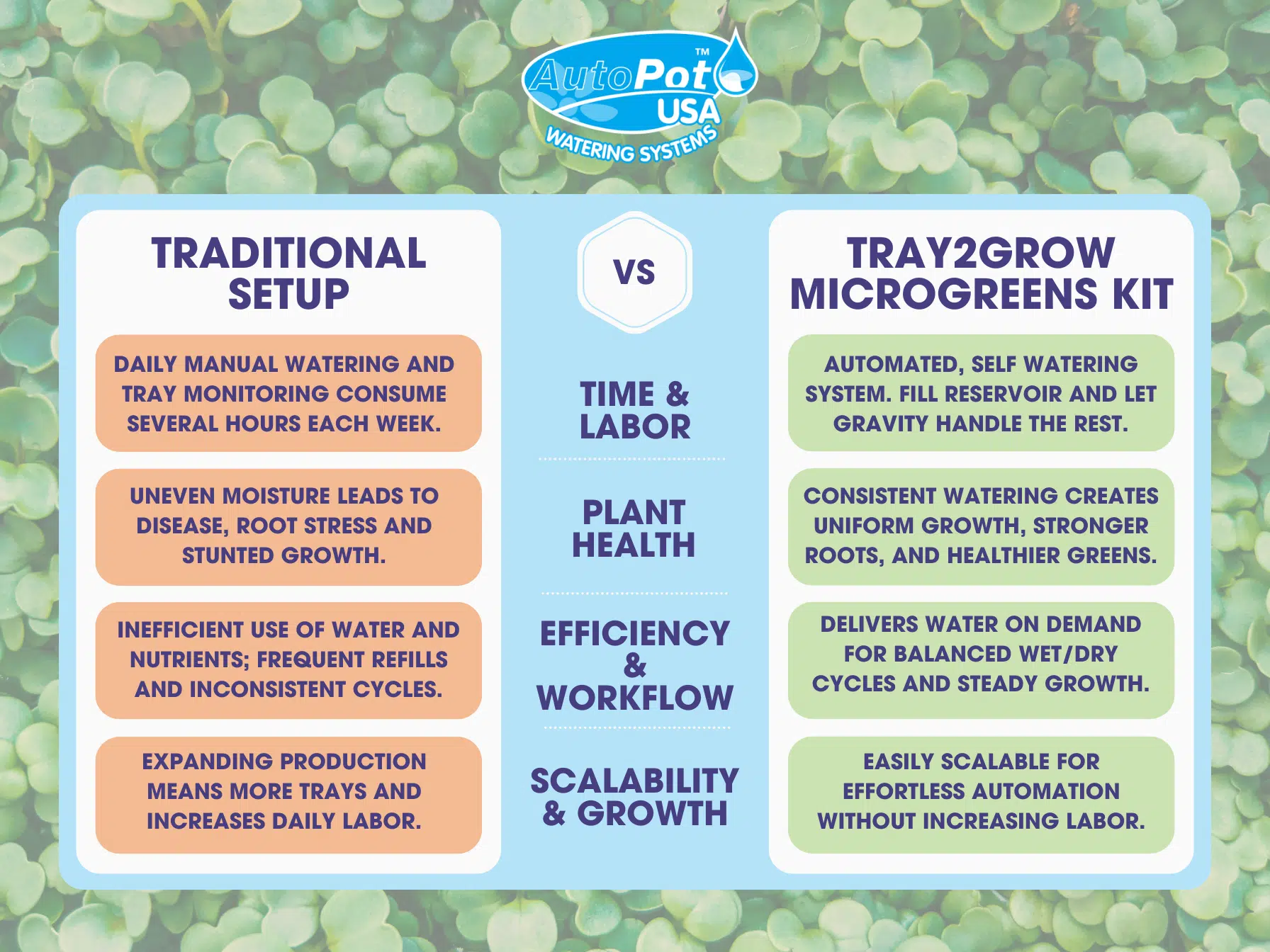 Tray2Grow Microgreens Kit - Image 3